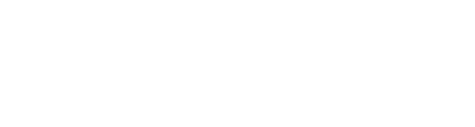 shopify brand
